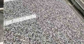 辽源 芙蓉白光面