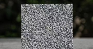 辽源 芝麻黑荔枝面