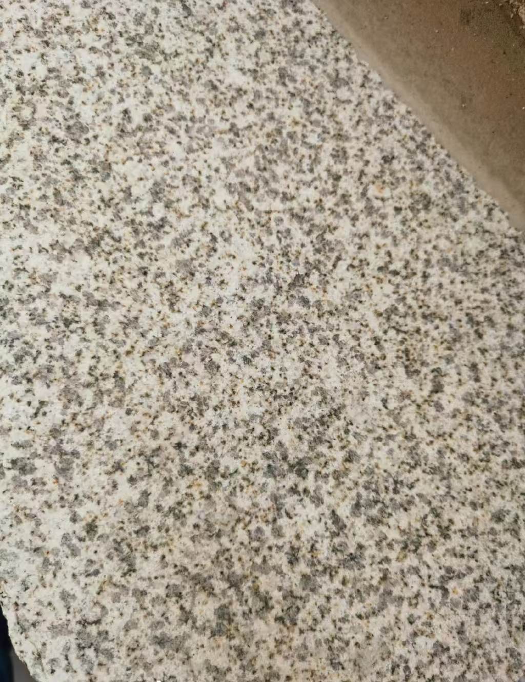 辽源 黄金麻中黄光面