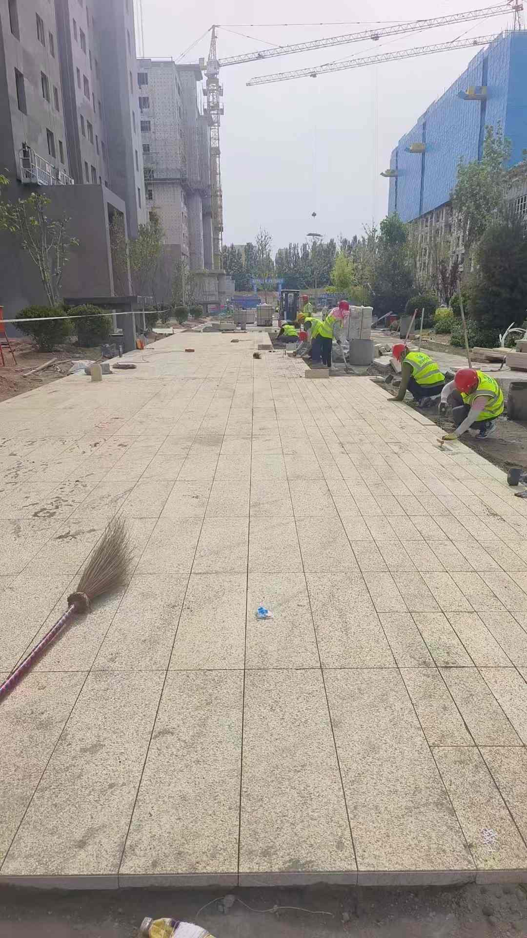辽源黄金麻荔枝面地铺案例