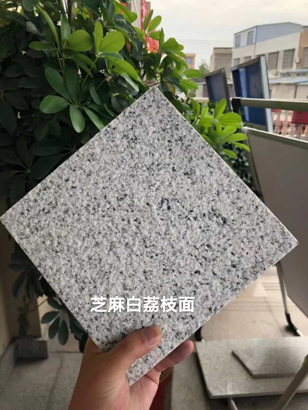 辽源 芝麻白荔枝面干挂